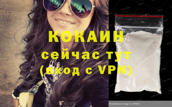прущие грибы Аркадак