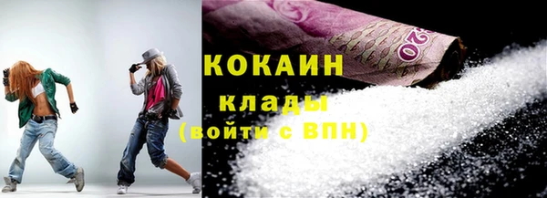 прущие грибы Аркадак