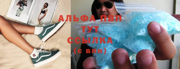 сатива Армянск