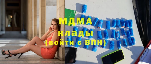 прущие грибы Аркадак