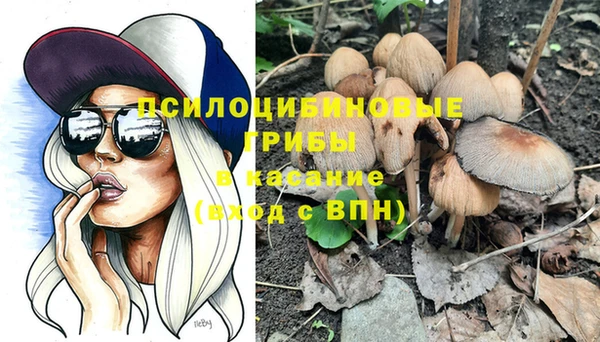 дмт Балахна