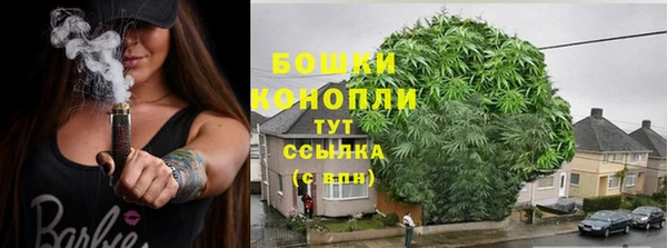 сатива Армянск