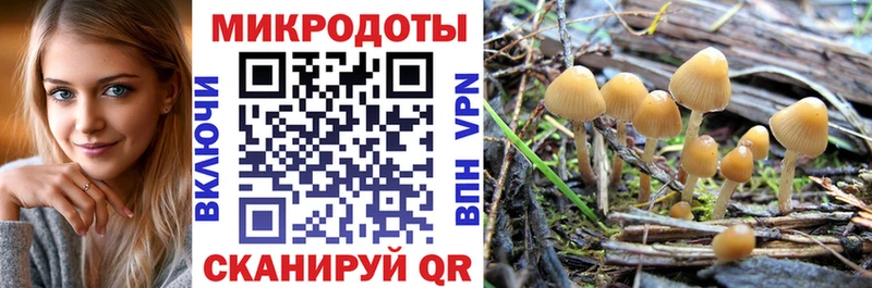Купить закладки  Лысьва  Галлюциногенные грибы прущие грибы 